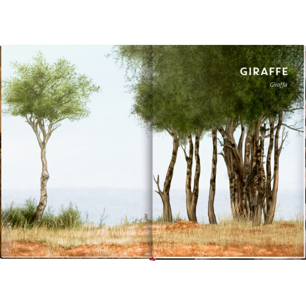 Coppenrath Kinderbuch - Unsichtbar - Meister der Tarnung (Nature Zoom)
