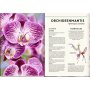Coppenrath Kinderbuch - Unsichtbar - Meister der Tarnung (Nature Zoom)