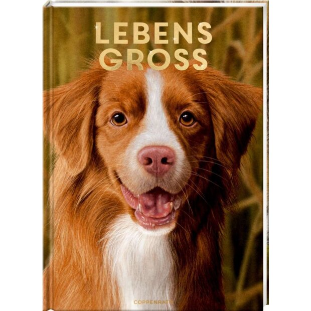 Coppenrath Kinderbuch - Lebensgroß - Hunde, unsere Gefährten