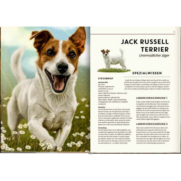 Coppenrath Kinderbuch - Lebensgroß - Hunde, unsere Gefährten