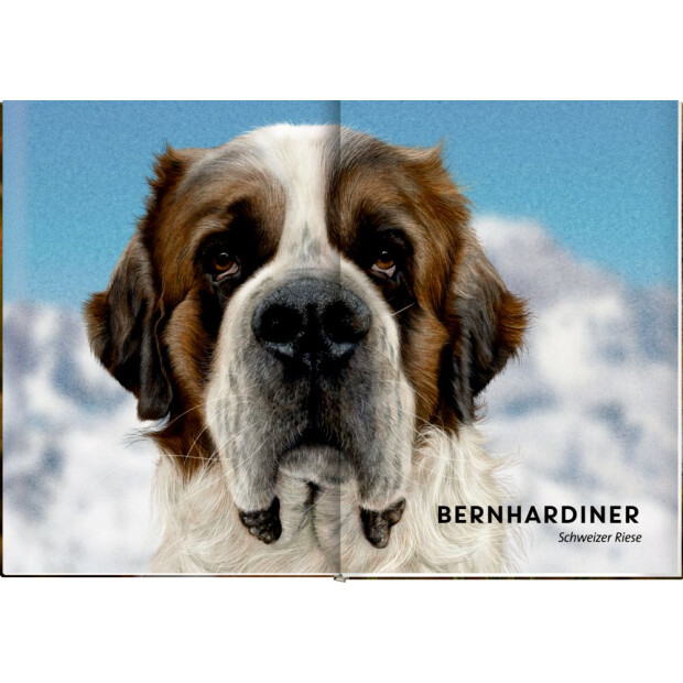 Coppenrath Kinderbuch - Lebensgroß - Hunde, unsere Gefährten