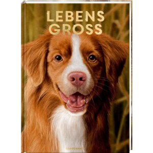 Coppenrath Kinderbuch - Lebensgroß - Hunde, unsere...
