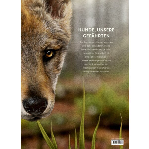 Coppenrath Kinderbuch - Lebensgroß - Hunde, unsere...