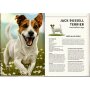 Coppenrath Kinderbuch - Lebensgroß - Hunde, unsere Gefährten