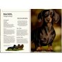 Coppenrath Kinderbuch - Lebensgroß - Hunde, unsere Gefährten