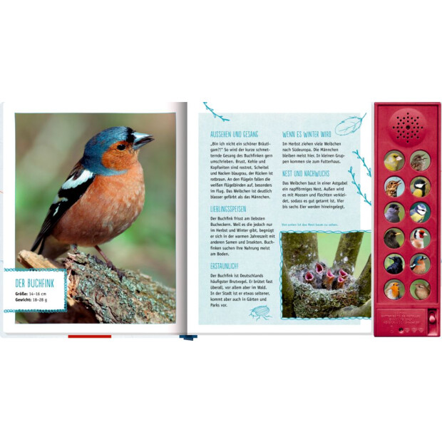 Coppenrath Vögel in unserem Garten (Soundbuch)