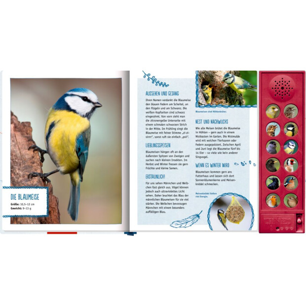 Coppenrath Vögel in unserem Garten (Soundbuch)