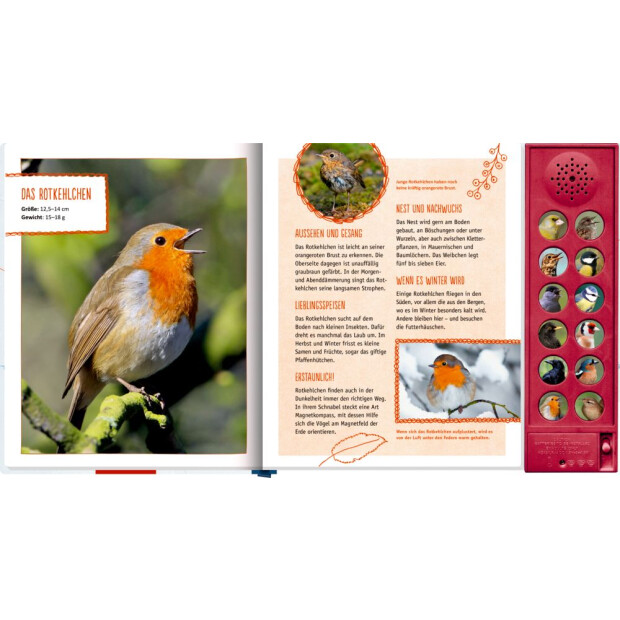 Coppenrath Vögel in unserem Garten (Soundbuch)