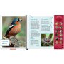 Coppenrath Vögel in unserem Garten (Soundbuch)