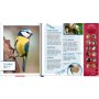 Coppenrath Vögel in unserem Garten (Soundbuch)