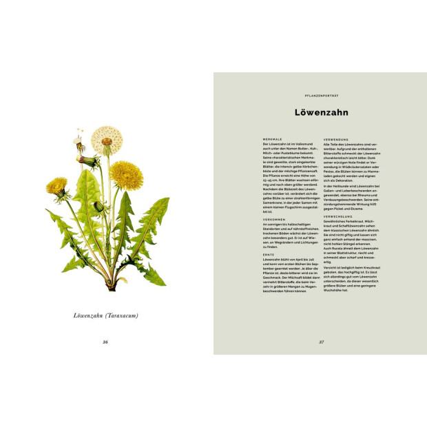Coppenrath Das Waldkochbuch: sammeln - erleben - entdecken - genießen