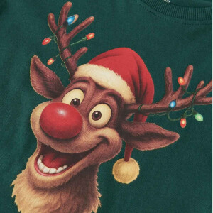 name it Shirt langarm Weihnachten Rentier - Botanical...