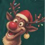 name it Shirt langarm Weihnachten Rentier - Botanical Garden Reindeer