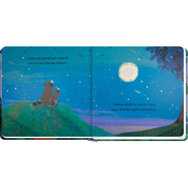 Coppenrath Kinderbuch - Weil ich deine Schwester bin ...