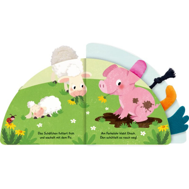 Coppenrath Kinderbuch - Fühlregisterbuch: Fühl mal, wer ist da? Kikeriki (Fühlen & begreifen)