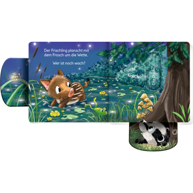 Coppenrath Kinderbuch - minifanten 54: Miau! Wer ist noch wach?
