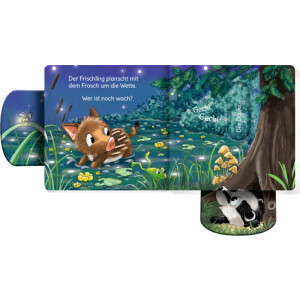 Coppenrath Kinderbuch - minifanten 54: Miau! Wer ist noch...
