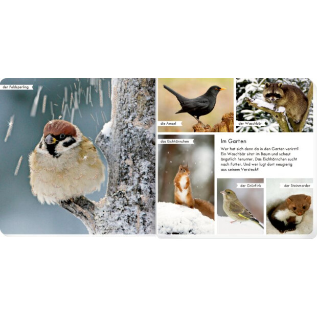 Coppenrath Kinderbuch - Meine liebsten Tiere im Winter