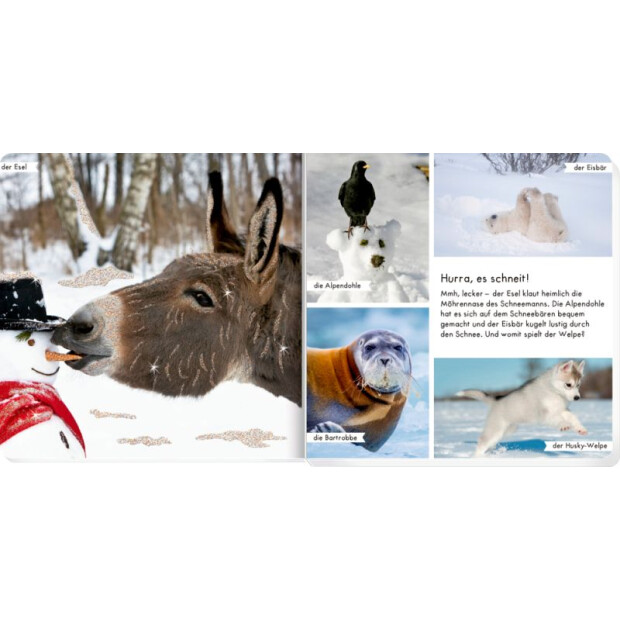 Coppenrath Kinderbuch - Meine liebsten Tiere im Winter