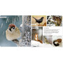 Coppenrath Kinderbuch - Meine liebsten Tiere im Winter