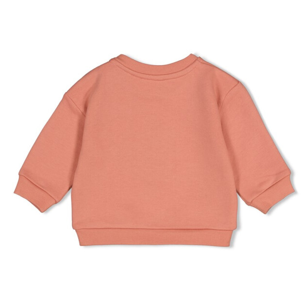 Feetje Baby angerauter Sweater Oversized - Forest Garden Rosa