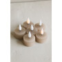 Bridgewater Candle Company 6er Set LED Teelichter Recharge - 220 Altrosa