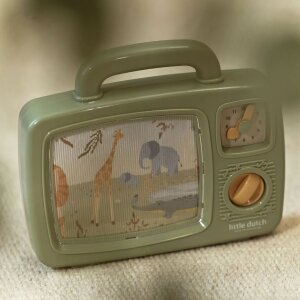 Little Dutch Musik TV Grün- Safari Friends