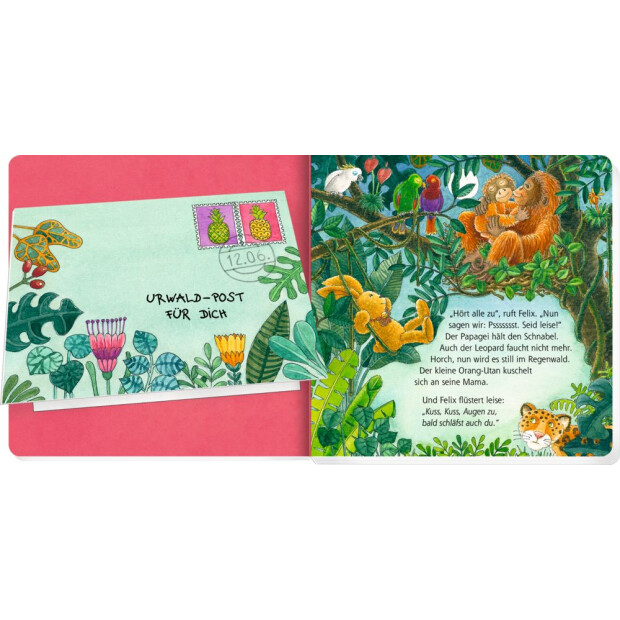 Coppenrath Kinderbuch - Erste Gutenacht-Briefe von Felix (Pappbilderbuch)