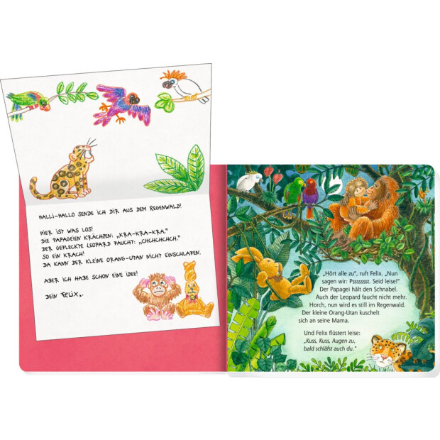Coppenrath Kinderbuch - Erste Gutenacht-Briefe von Felix (Pappbilderbuch)