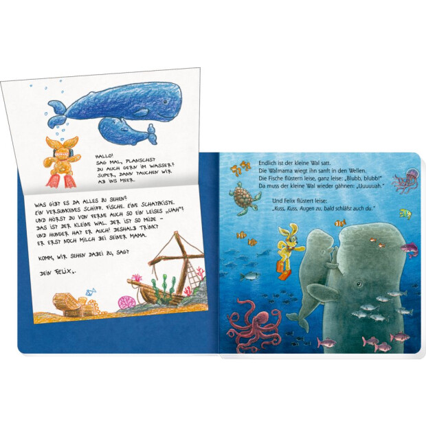 Coppenrath Kinderbuch - Erste Gutenacht-Briefe von Felix (Pappbilderbuch)