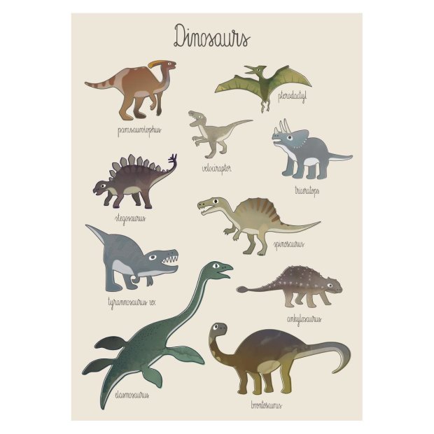 Poster Dinosaurier 50x70cm von Sebra