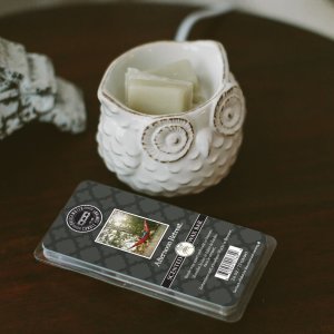 Scented Wax Bar Afternoon Retreat Bridgewater Candle Company