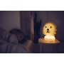 Kinderzimmer Nachtlicht - Löwe LED 25cm von Mr. Maria