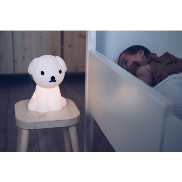 Kinderzimmer Nachtlicht - Hund Snuffy LED 30cm von Mr. Maria
