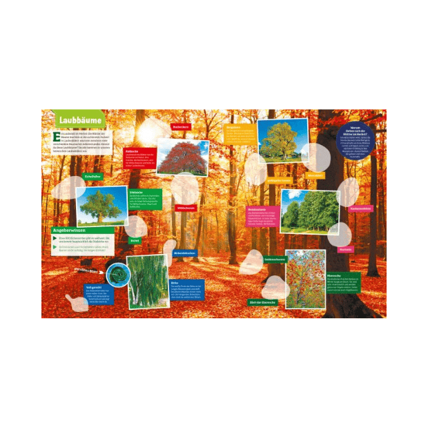 Tessloff WAS IST WAS Stickerheft Wald