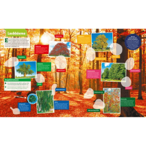 Tessloff WAS IST WAS Stickerheft Wald