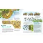 Kinderbuch WAS IST WAS Junior Band 34 Bienen, Wespen, Hummeln von Tessloff