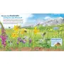 Kinderbuch WAS IST WAS Junior Band 34 Bienen, Wespen, Hummeln von Tessloff