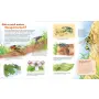 Kinderbuch WAS IST WAS Junior Band 34 Bienen, Wespen, Hummeln von Tessloff