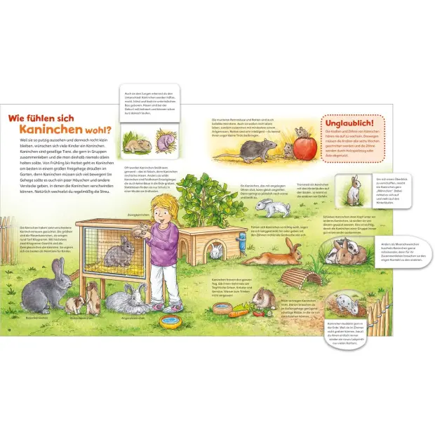 Kinderbuch WAS IST WAS Junior Meine liebsten Haustiere von Tessloff