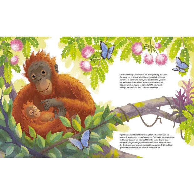 Magellan Kinder-Buch Der kleine Orang-Utan