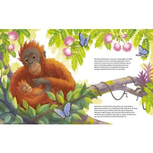 Magellan Kinder-Buch Der kleine Orang-Utan
