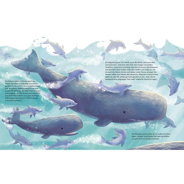 Magellan Kinder-Buch Der kleine Wal
