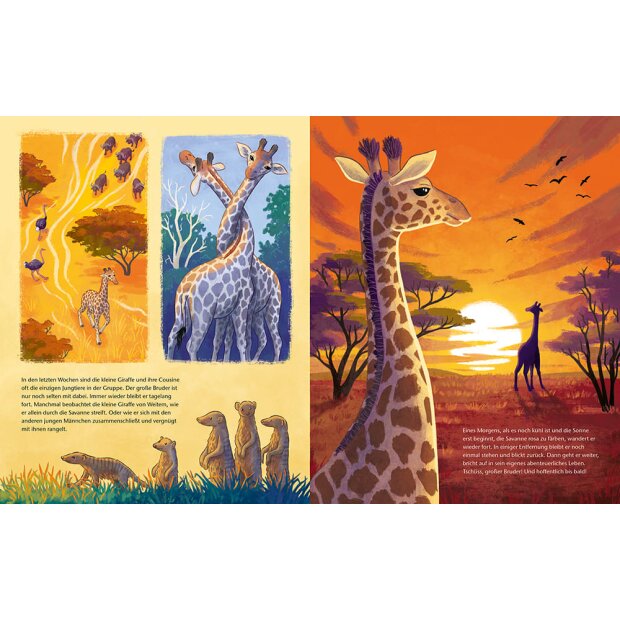 Magellan Kinder-Buch Die kleine Giraffe