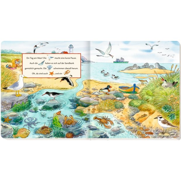 Coppenrath Kinderbuch Wimmelbuch Bei den Tieren
