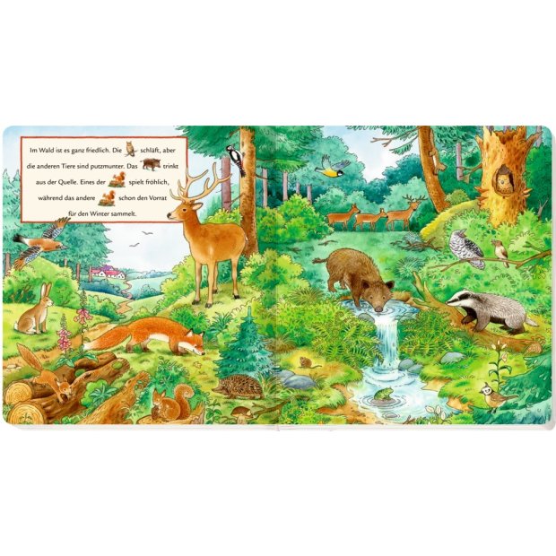 Coppenrath Kinderbuch Wimmelbuch Bei den Tieren