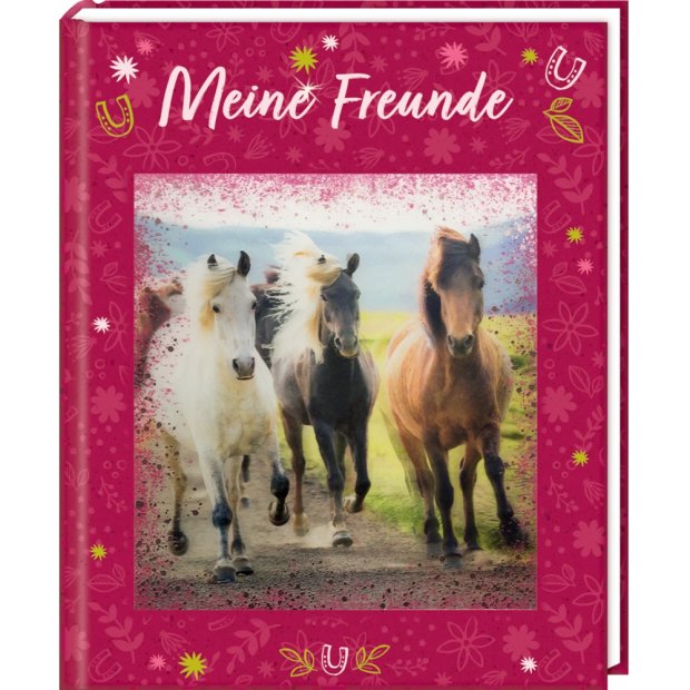 Coppenrath Freundebuch Pferdefreunde