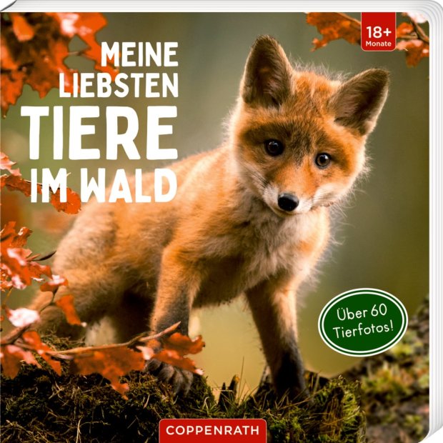 Coppenrath Kinderbuch Meine liebsten Tiere im Wald