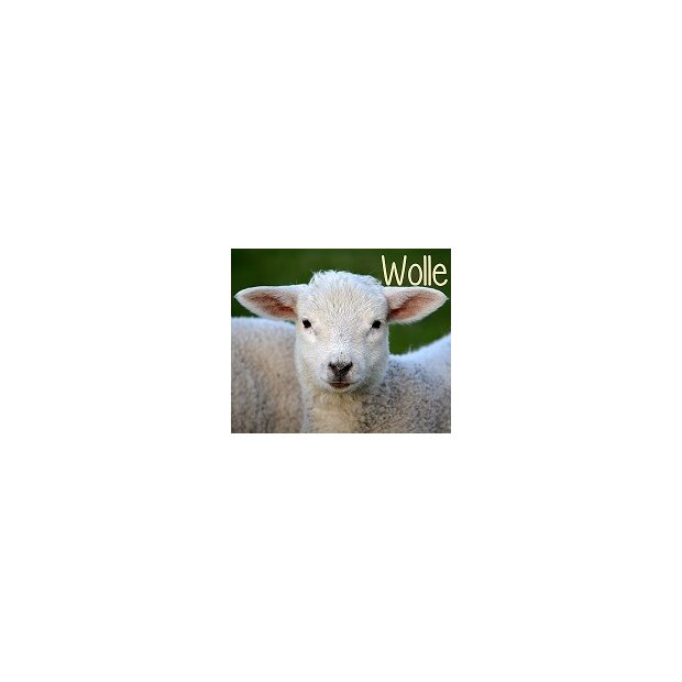 Hust and Claire Mila Baby-Wolle Seide-Shlafoverall Grau