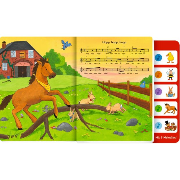 Coppenrath Hör mal wer da singt Kinderlieder Soundbuch